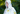 Cooling Hooded Wrap - UPF50+ - Wattle - Wildlyready