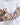 Cycling Protection Sleeves - Tiger - Wildlyready