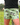 Everyday Outdoor Footy Shorts With Zip Pockets - Kookaburra Green - Wildlyready