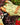 Gardening Gloves - Bees - Wildlyready