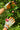Gardening Gloves - Blue Wren Cream - Wildlyready