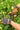Gardening Gloves - Butterfly - Wildlyready