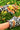 Gardening Gloves - Floral Black - Wildlyready