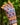 Gardening Gloves - Mixed Floral - Wildlyready