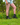 Gardening Protection Leg Sleeves - Beige - Wildlyready