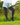 Gardening Protection Leg Sleeves - Black - Wildlyready