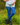 Gardening Protection Leg Sleeves - Blue - Wildlyready