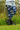 Gardening Protection Leg Sleeves - Cockatoo Blue - Wildlyready