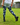 Gardening Protection Leg Sleeves - Cockatoo Blue - Wildlyready
