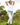 Gardening Protection Leg Sleeves - White - Wildlyready