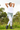 Gardening Protection Leg Sleeves - White - Wildlyready