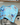 Wildly Ready Waffle Cleaning Cloth - Blue Wren Blue - Wildlyready