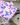 Wildly Ready Waffle Cleaning Cloth - Butterfly Pink - Wildlyready