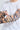 Cycling Protection Sleeves - Tiger - Wildlyready