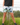 Everyday Outdoor Footy Shorts With Zip Pockets - Blue Wren Light Blue - Wildlyready