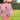 Everyday Outdoor Footy Shorts With Zip Pockets - Kookaburra Dusty Pink - Wildlyready