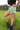 Everyday Outdoor Footy Shorts With Zip Pockets - Kookaburra Green - Wildlyready
