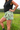 Everyday Outdoor Footy Shorts With Zip Pockets - Kookaburra Green - Wildlyready