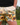 Everyday Outdoor Footy Shorts With Zip Pockets - Sunflower Cream - Wildlyready