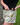 Everyday Outdoor Footy Shorts With Zip Pockets - Wattle Cream - Wildlyready