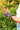Gardening Gloves - Butterfly - Wildlyready