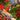 Gardening Gloves - Cockatoo Blue - Wildlyready