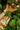 Gardening Gloves - Sunflower Cream - Wildlyready