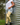 Gardening Protection Leg Sleeves - Bees - Wildlyready