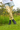 Gardening Protection Leg Sleeves - Bees - Wildlyready