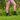 Gardening Protection Leg Sleeves - Beige - Wildlyready