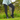 Gardening Protection Leg Sleeves - Black - Wildlyready