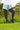 Gardening Protection Leg Sleeves - Black - Wildlyready