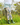 Gardening Protection Leg Sleeves - Blue Wren - Wildlyready