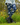 Gardening Protection Leg Sleeves - Cockatoo Blue - Wildlyready