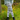 Gardening Protection Leg Sleeves - Kookaburra - Wildlyready